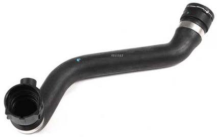 BMW Engine Coolant Hose - Lower 11531705224 - Rein CHR0005P